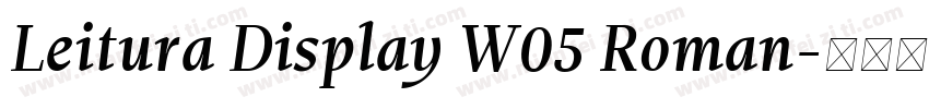 Leitura Display W05 Roman字体转换